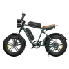 Engwe M20 Single Electric Bike - Gallery 1