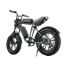 Engwe M20 Single Electric Bike - Gallery 2
