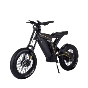 Electric bike Vsett Eagle 48V 20A