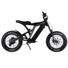 Vsett Eagle 48V 20A Electric Bike - Gallery 1