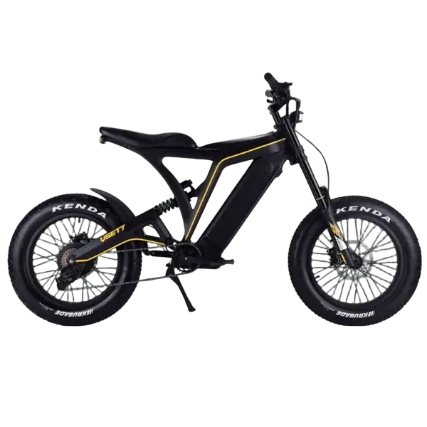 Vsett Eagle 48V 20A Electric Bike - Gallery 1