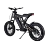 Vsett Eagle 48V 20A Electric Bike - Gallery 2
