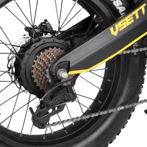 Vsett Eagle 48V 20A Electric Bike - Gallery 3