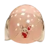 Childrens helmet with protector