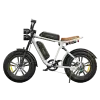 Electric bike ENGWE M20 Dual