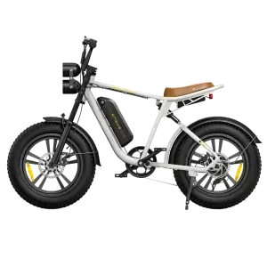 Electric bike ENGWE M20 Single