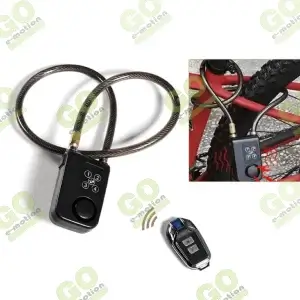 Password and wire alarm, wireless remote - Gallery 1