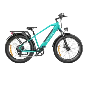 Engwe E26 Electric Bike - Gallery 1