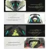 Off Road Mica Helmet - Gallery 4