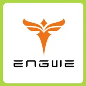 Electric bikes Engwe
