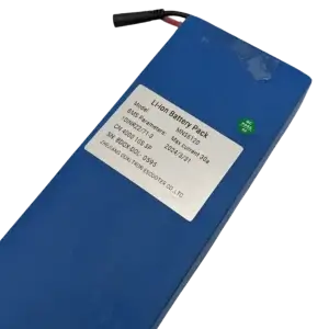 Bateriya Za Dualtron Dolphin.webp