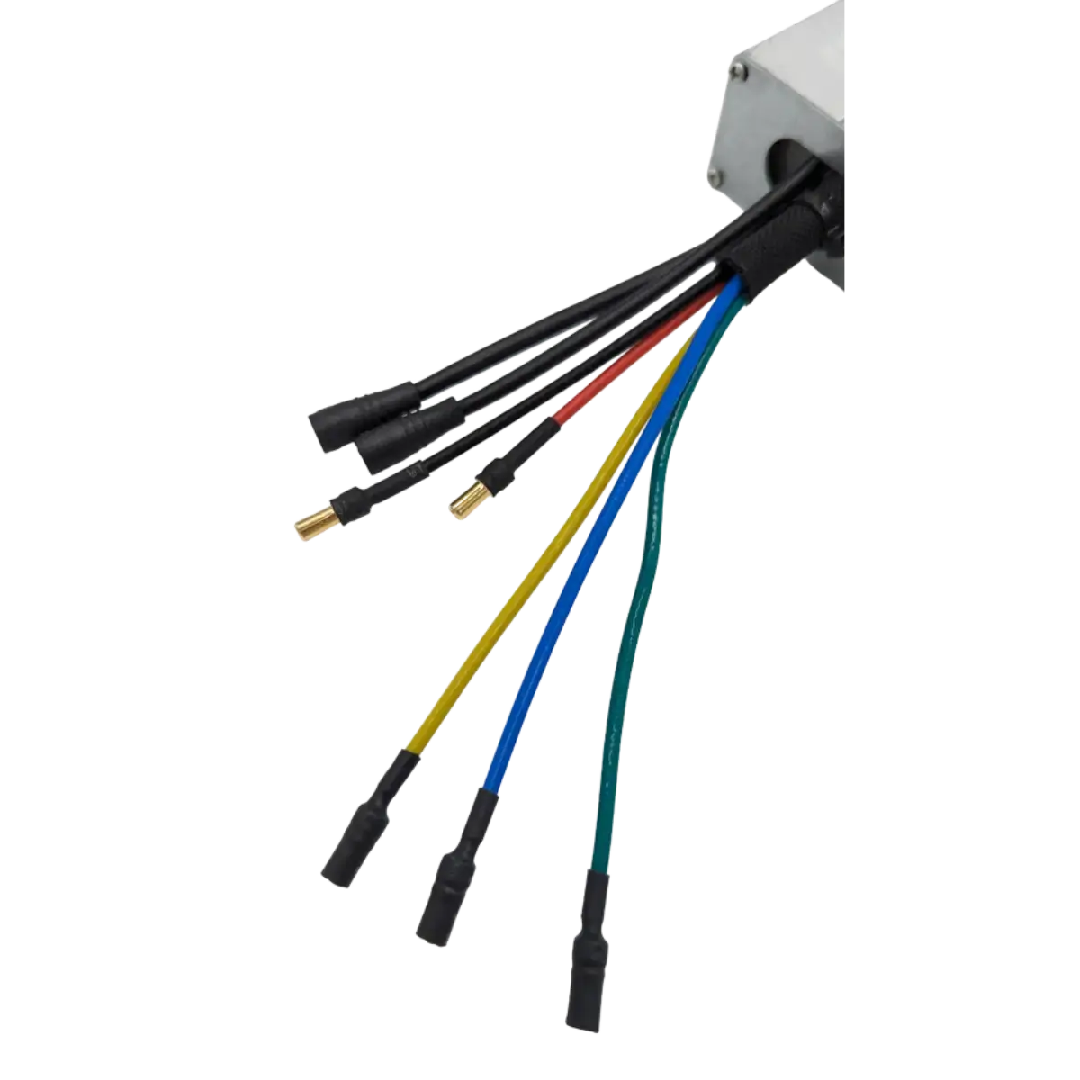 Kontroler Za Dualtron Dolphin.webp